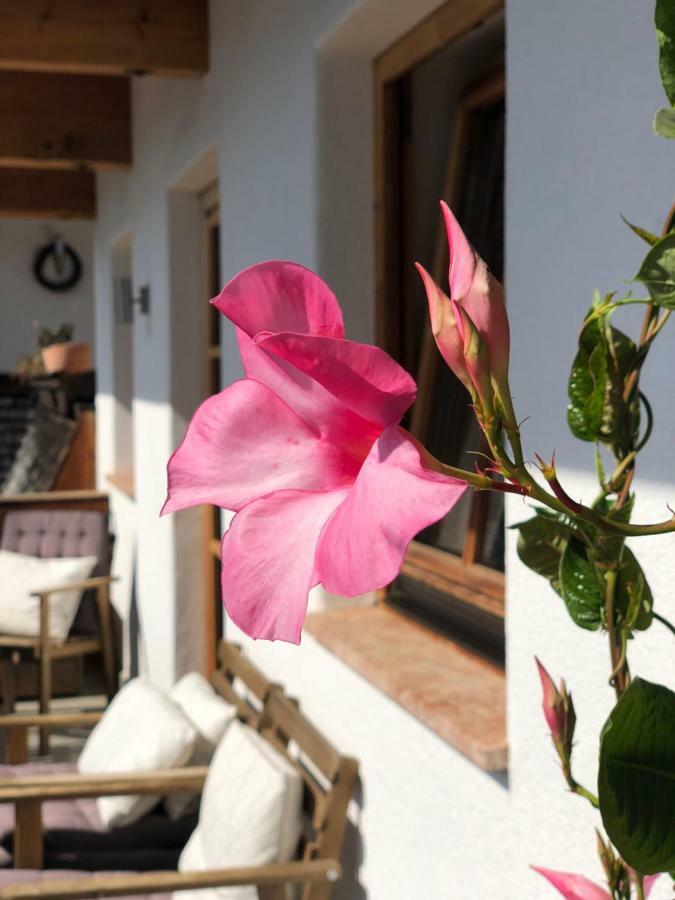 Alpbach 646 Apartment ภายนอก รูปภาพ