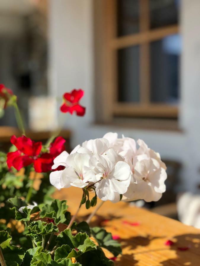 Alpbach 646 Apartment ภายนอก รูปภาพ